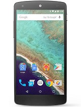 How can I enable developer options on my Lg Nexus 5 Android phone?
